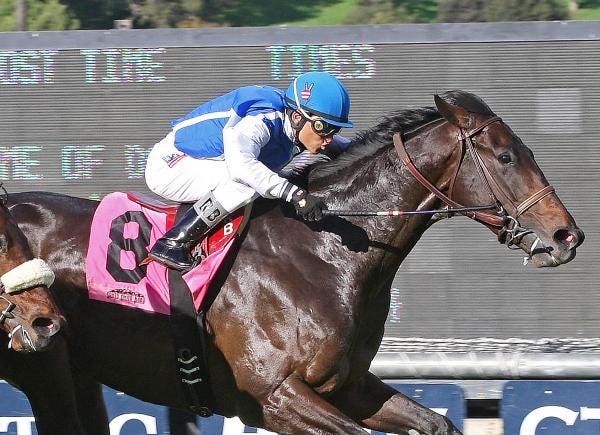 Hollywood Park Silentio Calms Down As He Prepares For Citation Hollywood Park Silentio Calms Down As He Prepares For Citation