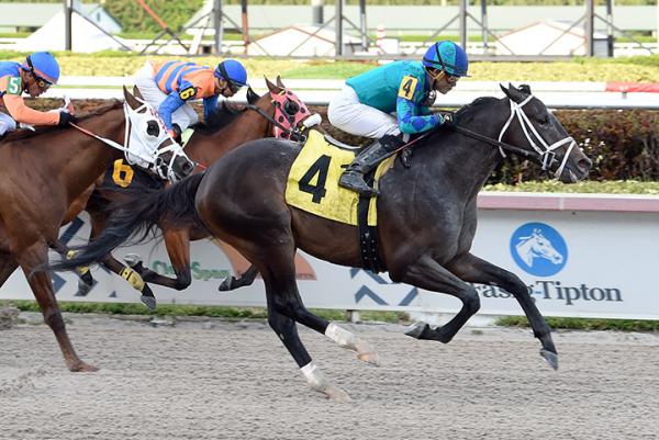 Drf S Horse Racing Playbook For Friday January 22 2021