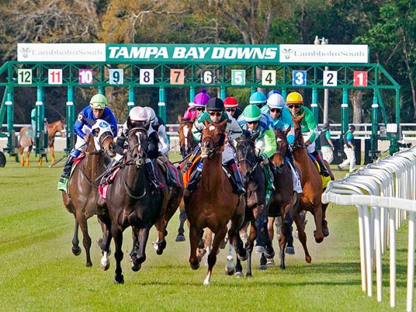 Drf S Horse Racing Playbook For Wednesday April 8 2020