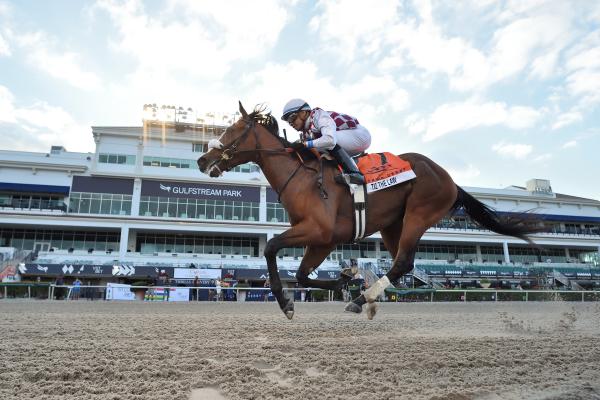 Road To The 2020 Kentucky Derby Florida Derby Analysis