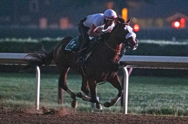 Tiz the Law in five-furlong Derby work 8-23-2020