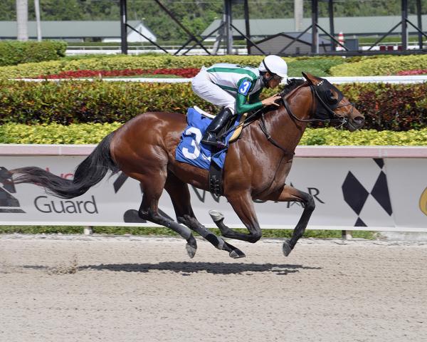 Uphold the Law wins a March 18 maiden race at Gulfstream Park