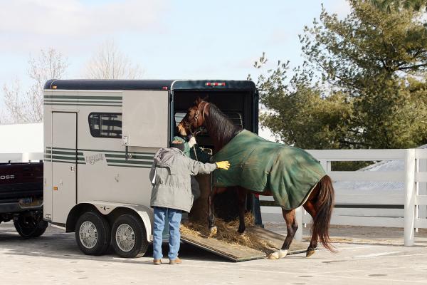 sallee horse vans jobs