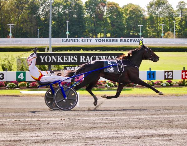 Yonkers Mgm Yonkers International Trot To Return In 2022