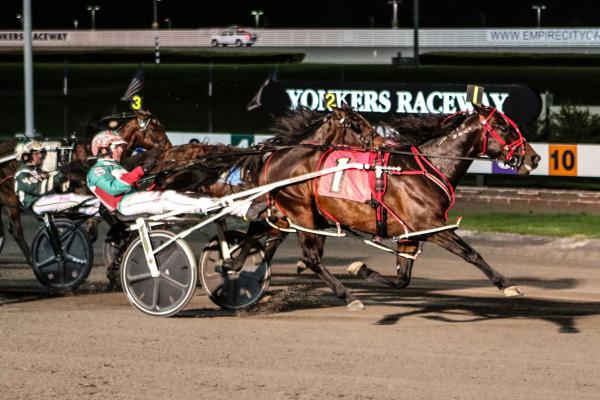 Yonkers Bit Of A Legend N In Top Form Heading Into Levy Series Final