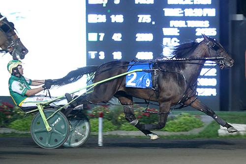 Woodbine Mohawk Park Gold Series Triple For Bulldog Hanover