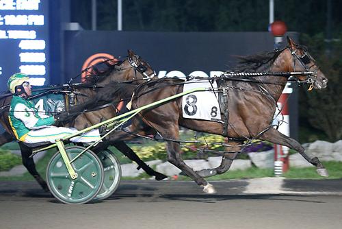Woodbine Mohawk Park Bulldog Hanover Back In The Winner S Circle