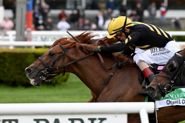 Drf S Horse Racing Playbook For Friday May 28 2021