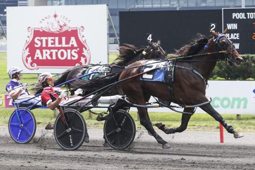 Meadowlands Rockyroad Hanover Rallies By Perfect Sting In Cane Pace