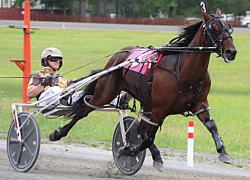 Historic Track Stretch The Line Could Be Yonkers Bound After Landmark Triumph