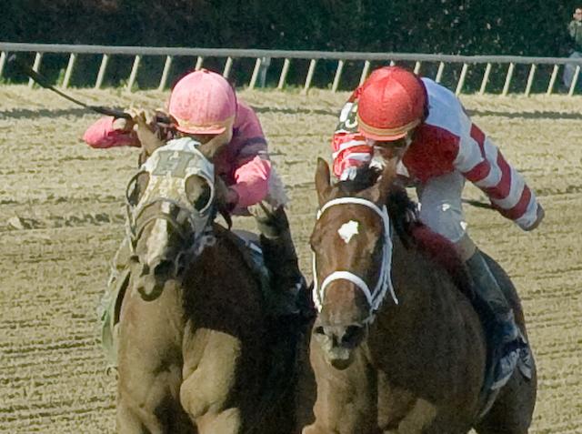 Blind Luck (left), Havre de Grace, Delaware Handicap | Horse racing's biggest  rivalries | Daily Racing Form