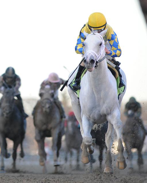 Hansen/Gotham Stakes Weekend stakes winners March 34 Daily Racing Form