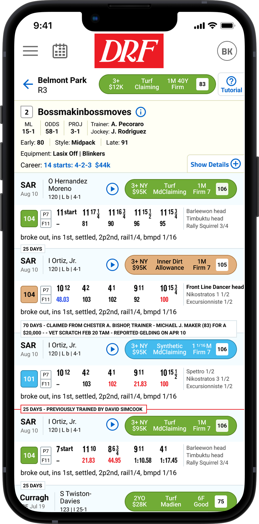 Horse racing form guide example