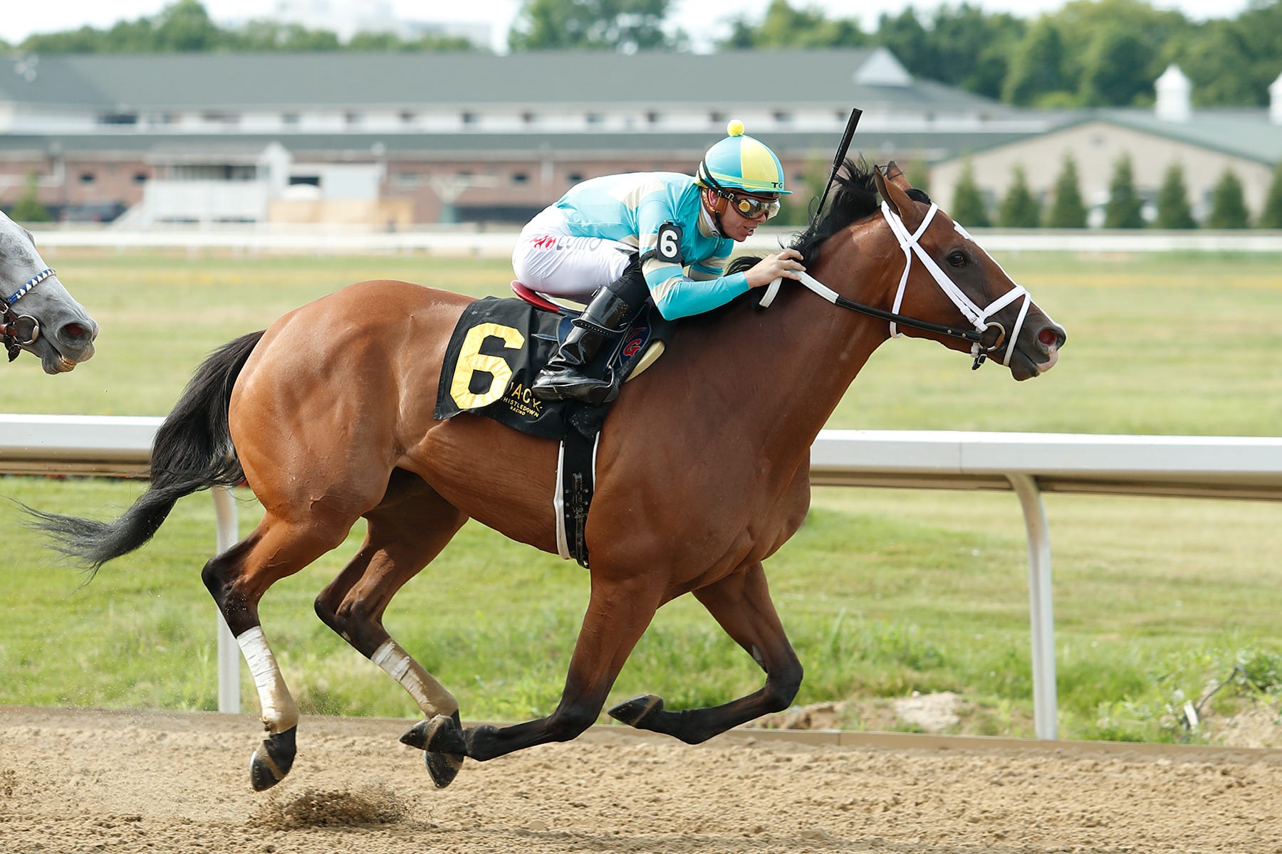 Army Wife turns back Crazy Beautiful in Lady Jacqueline Stakes