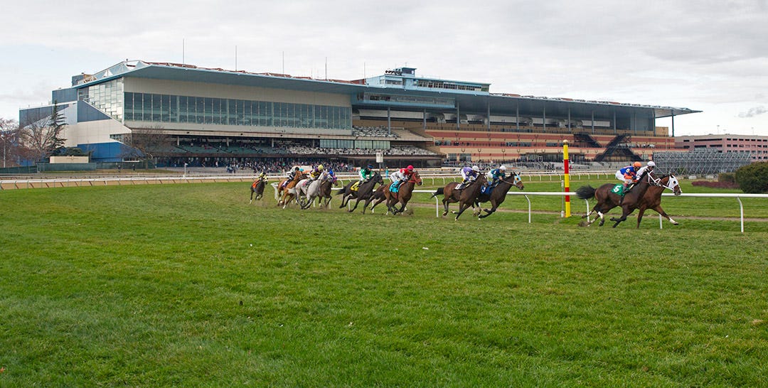 Aqueduct opens fall meet with fresh turf courses, robust purse structure