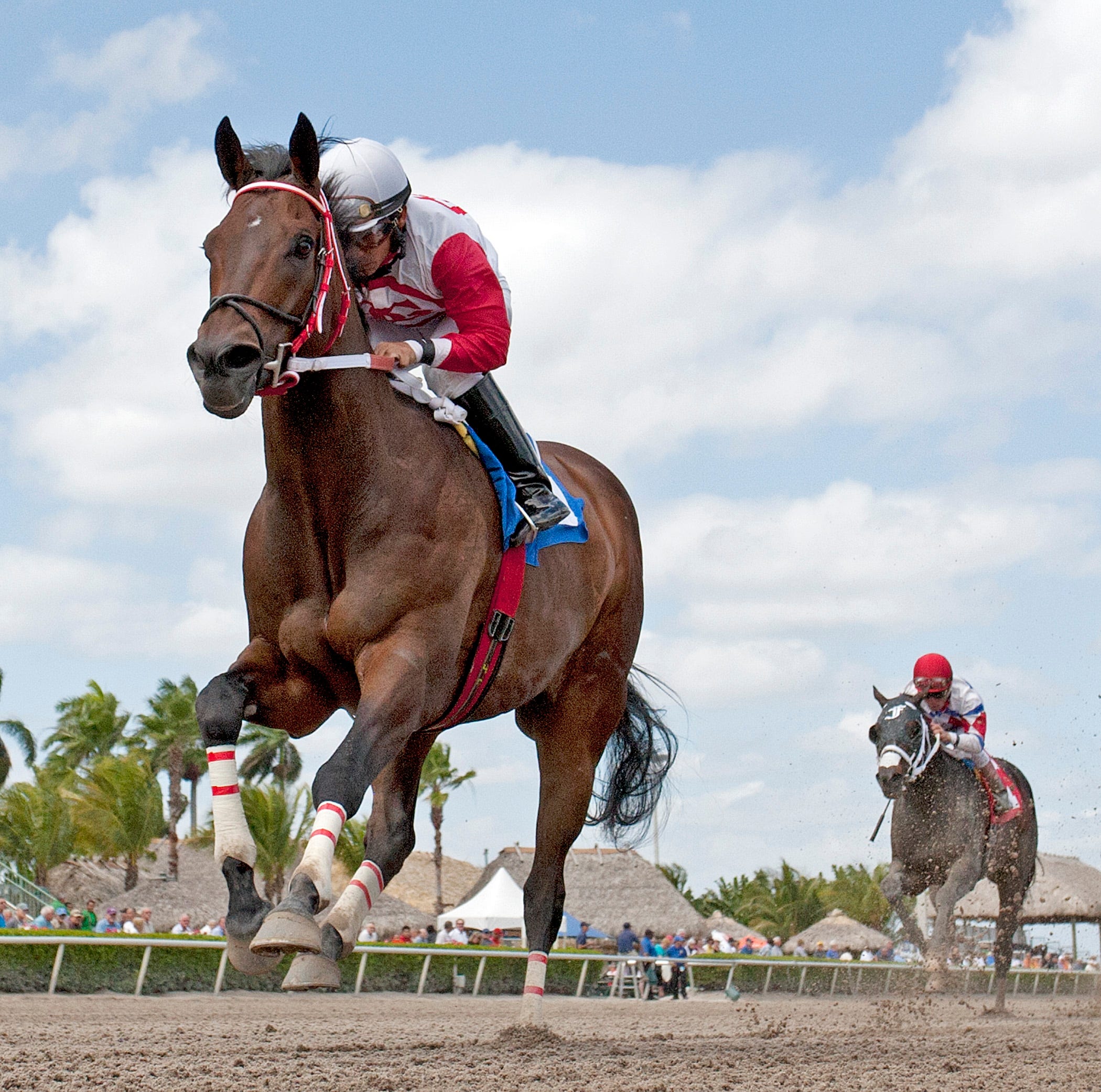 Gulfstream Park: Action Andy returns to form