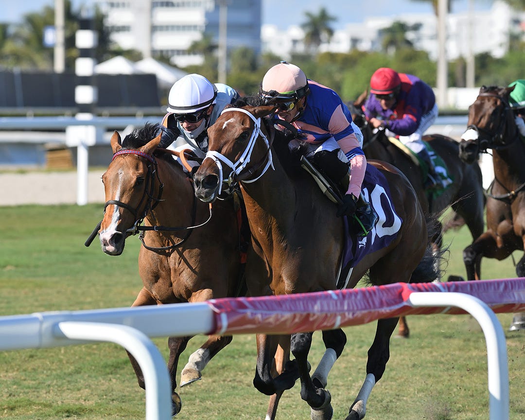 DRF's Horse Racing Playbook for Thursday, March 17, 2022