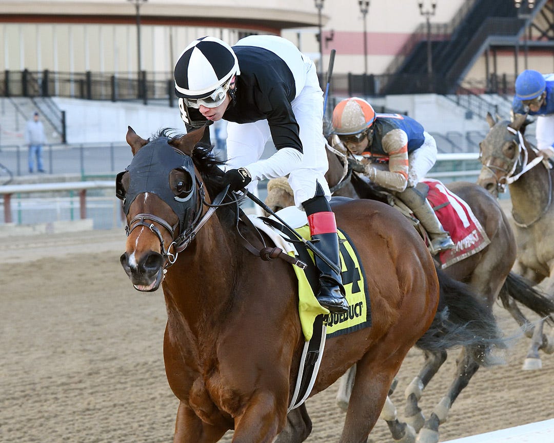 DRF's Horse Racing Playbook for Sunday, December 5, 2021