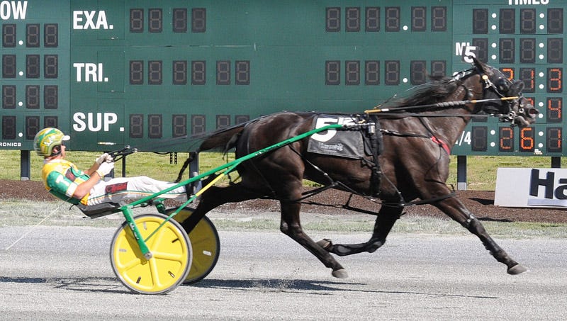 Bergman: Harness Racing needs more Invitational races