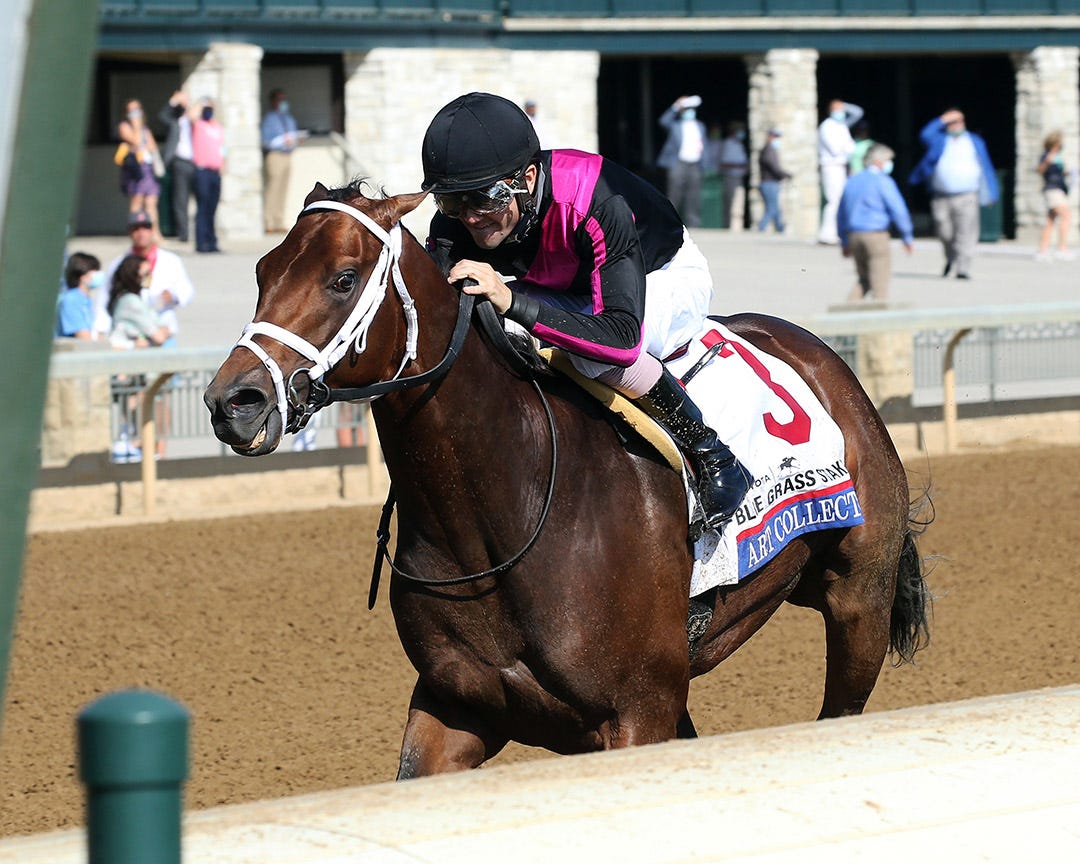Kentucky Derby pedigree profile Art Collector