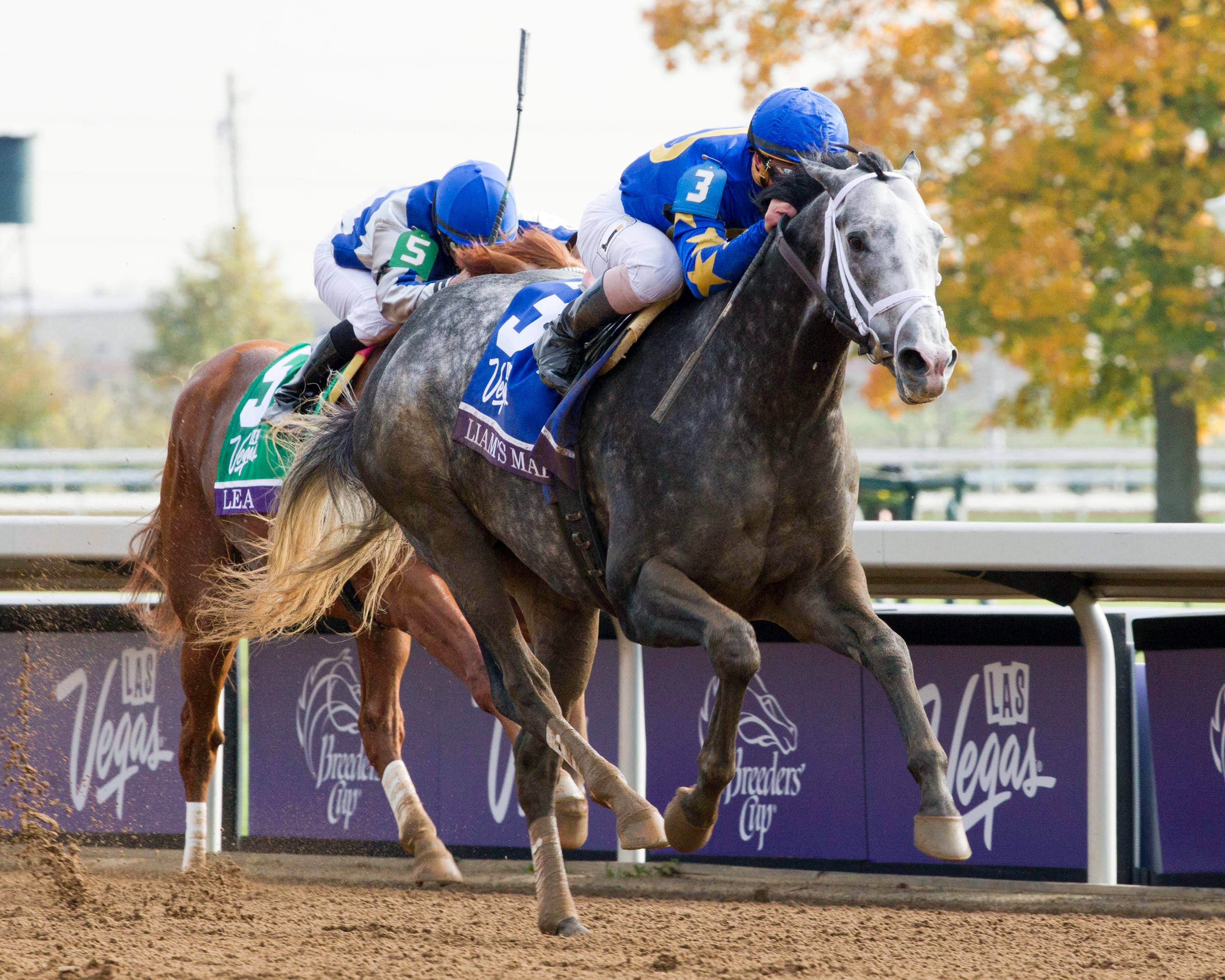 Liam's Map has to come from behind to take Dirt Mile