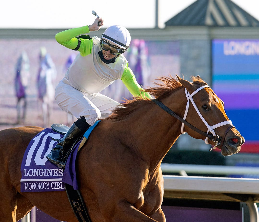 Monomoy Girl has first foal, a colt by Into Mischief