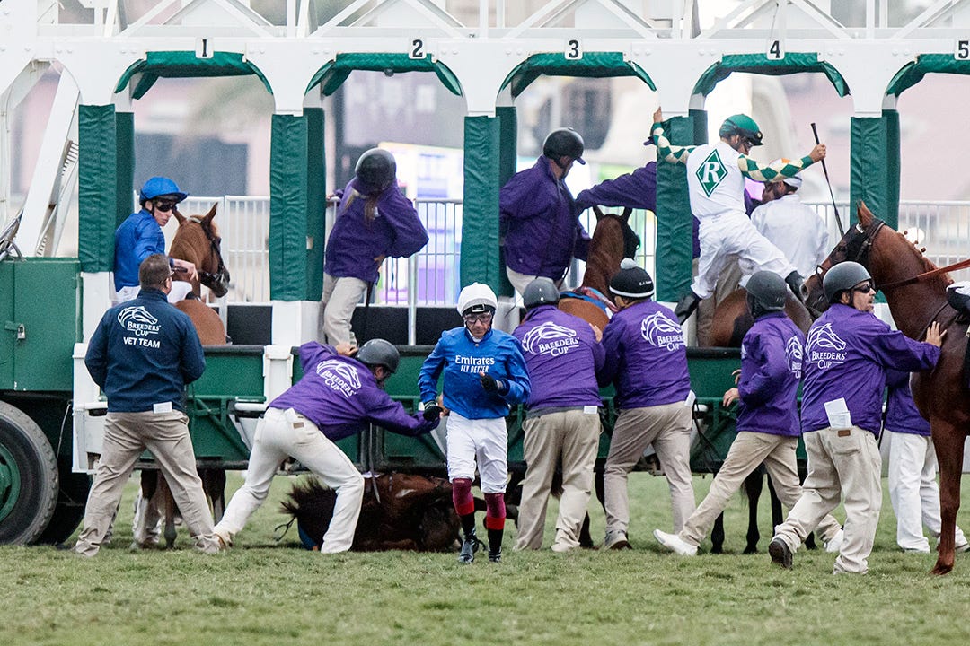 Breeders' Cup: Horseplayers up in arms over Juvenile Turf scratch snafu