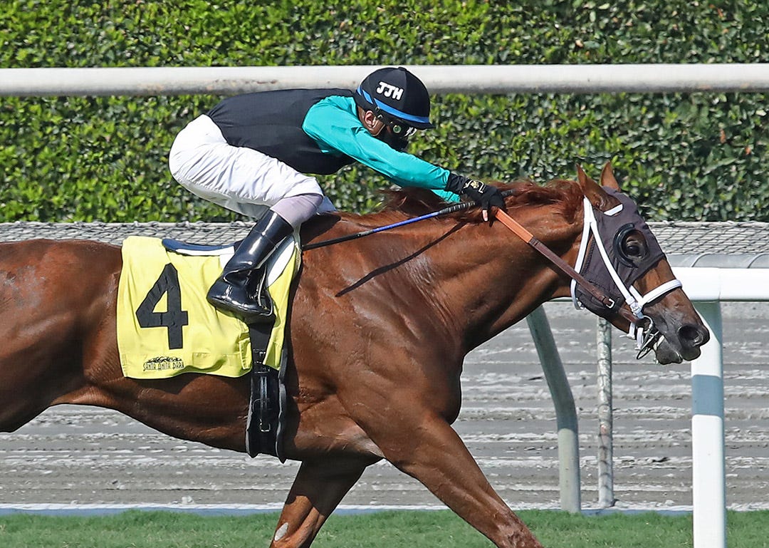 Cali Caliente's hot streak the result of great patience