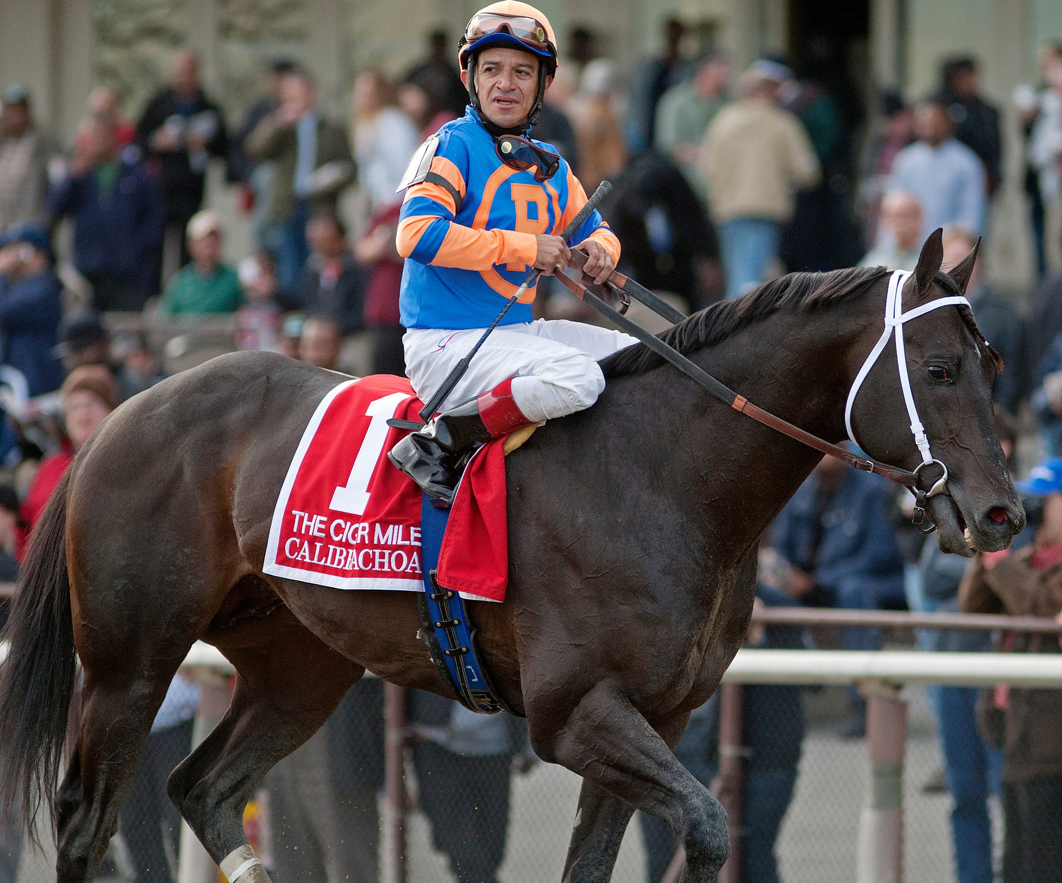 Red River Farms adds Calibrachoa, Redding Colliery