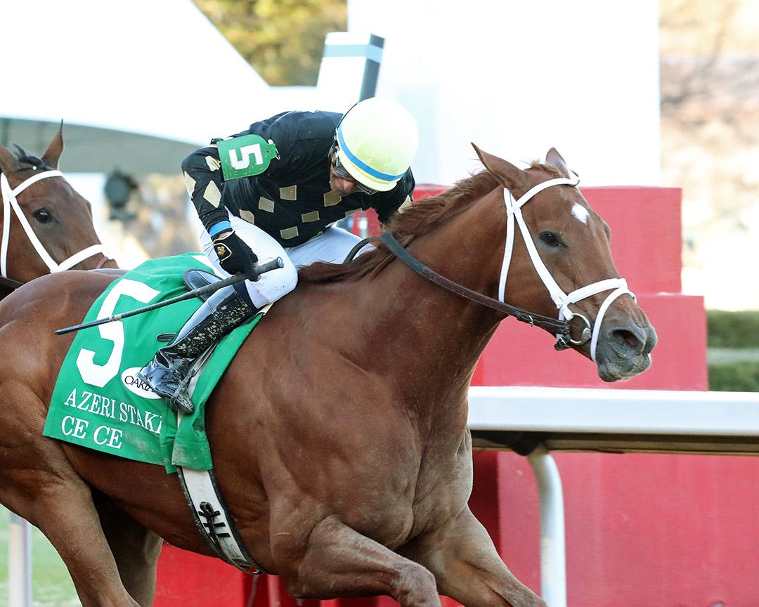 Apple Blossom Handicap Jockey strategy could be key in short field