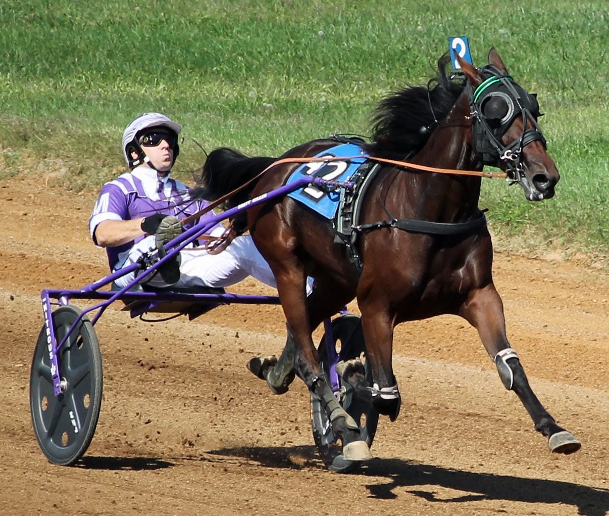 Red Mcfly Races Red Mile: Filly trotters prep for Breeders Crown with stake wins