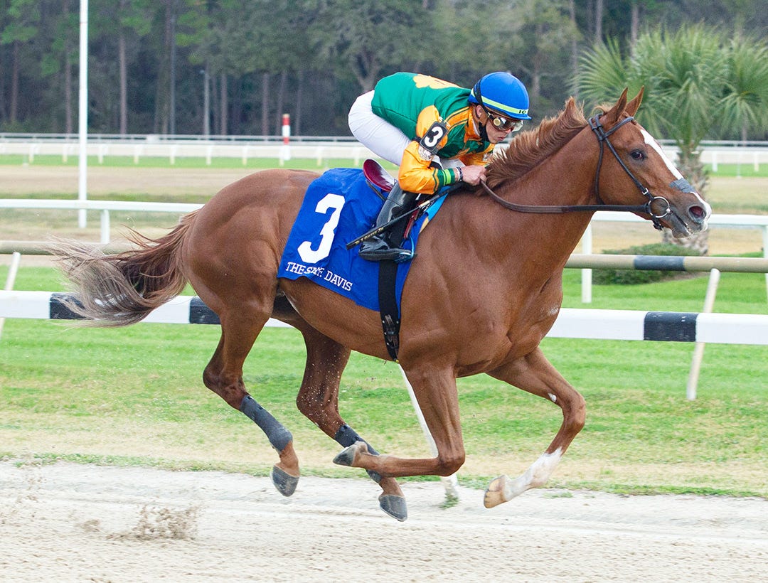 Classic Causeway likely to have 11 rivals in Tampa Bay Derby