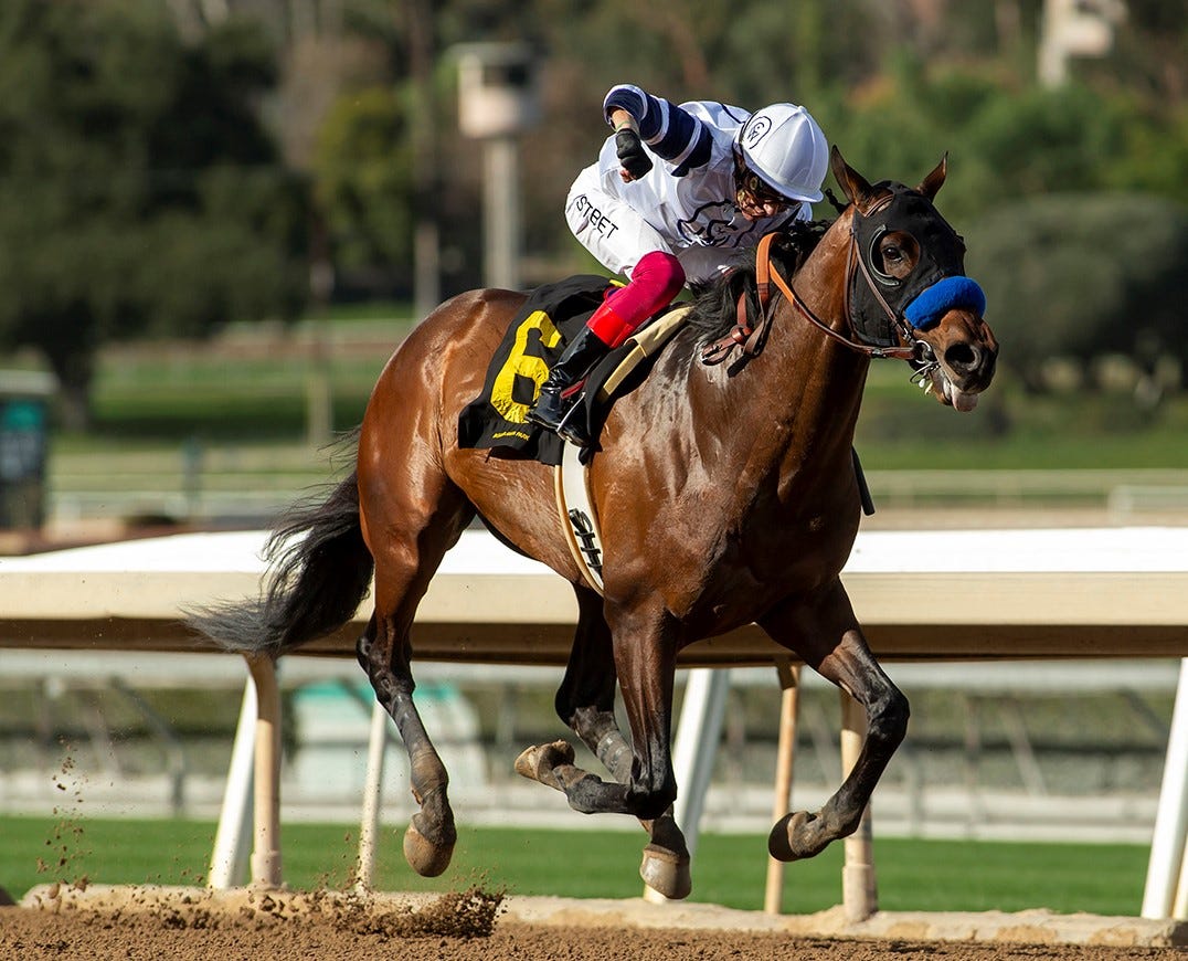 Dubai World Cup: Country Grammer gives off better look than last year