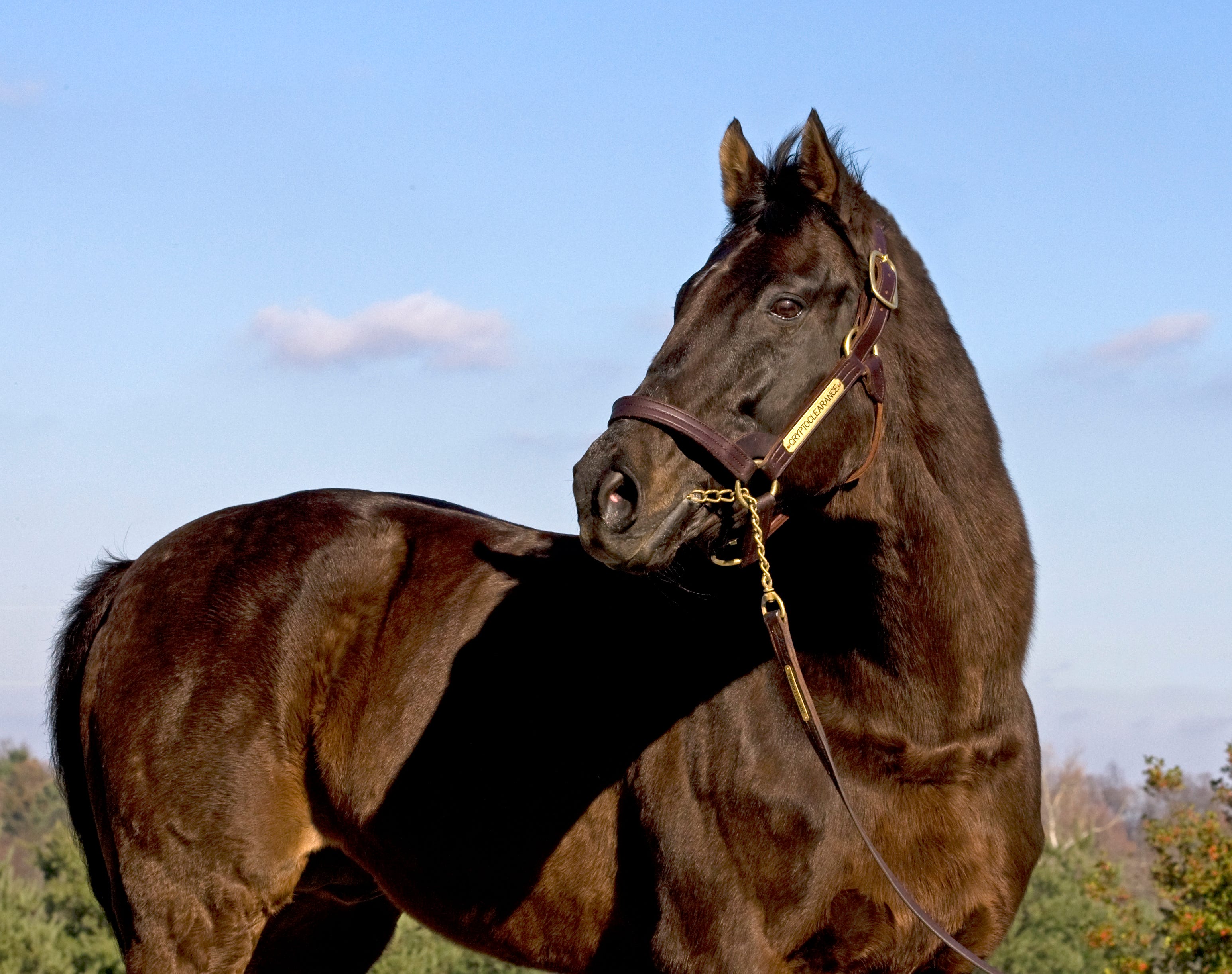 Chicagoan Philip Teinowitz, owner of Cryptoclearance, dies at age 92