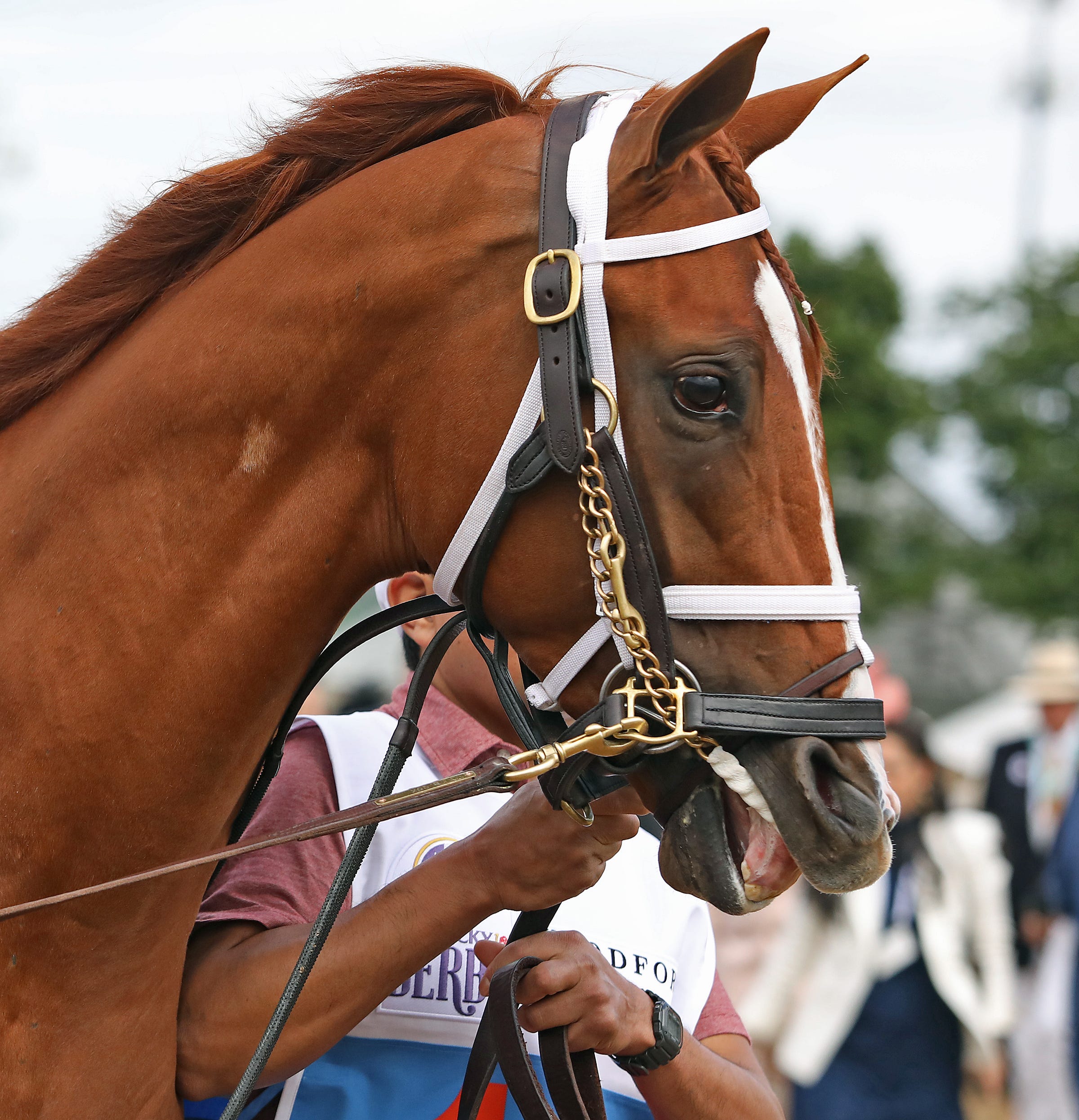 Cyberknife set to rebound from Kentucky Derby effort in Matt Winn