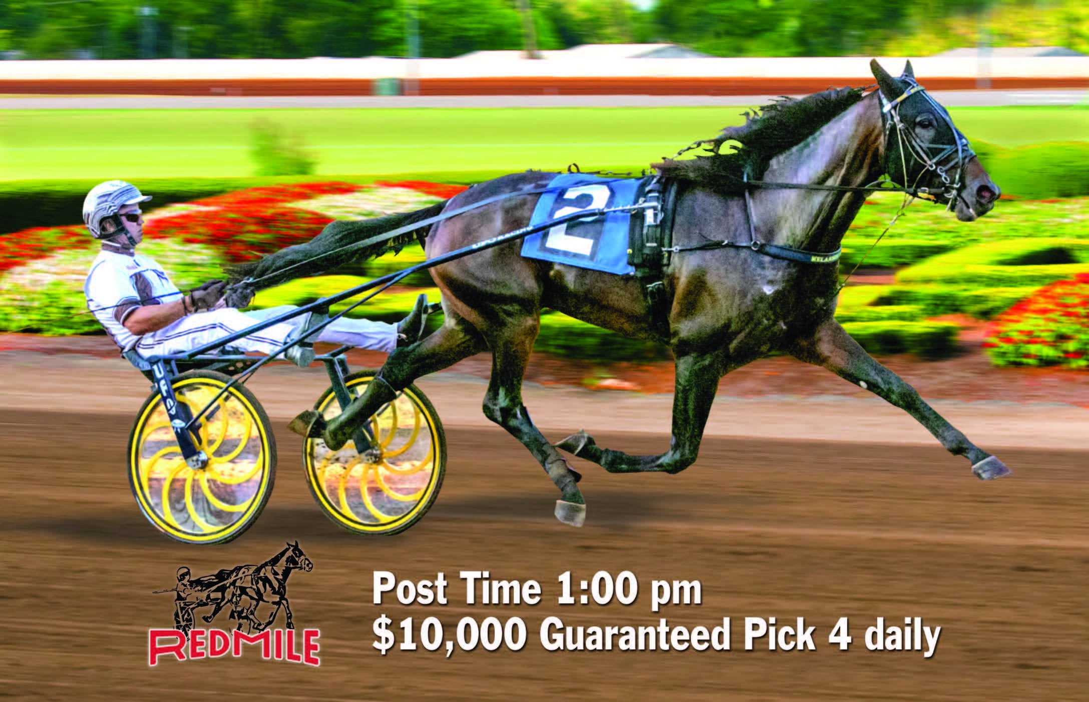 Red Mile Dog Races Red Mile: Sunday $10,000 Guaranteed Pick 4 Analysis
