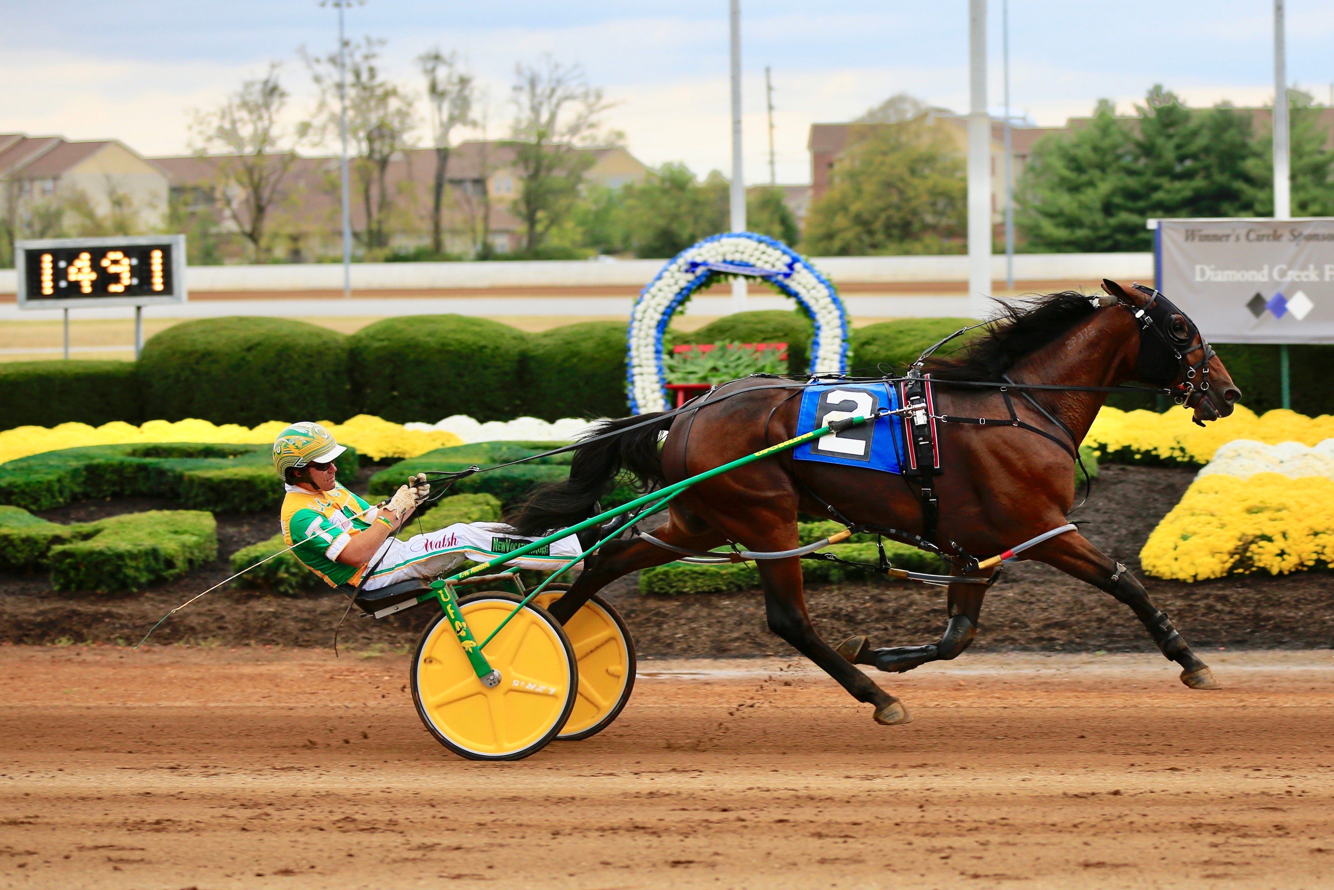 Harness Racing Barn