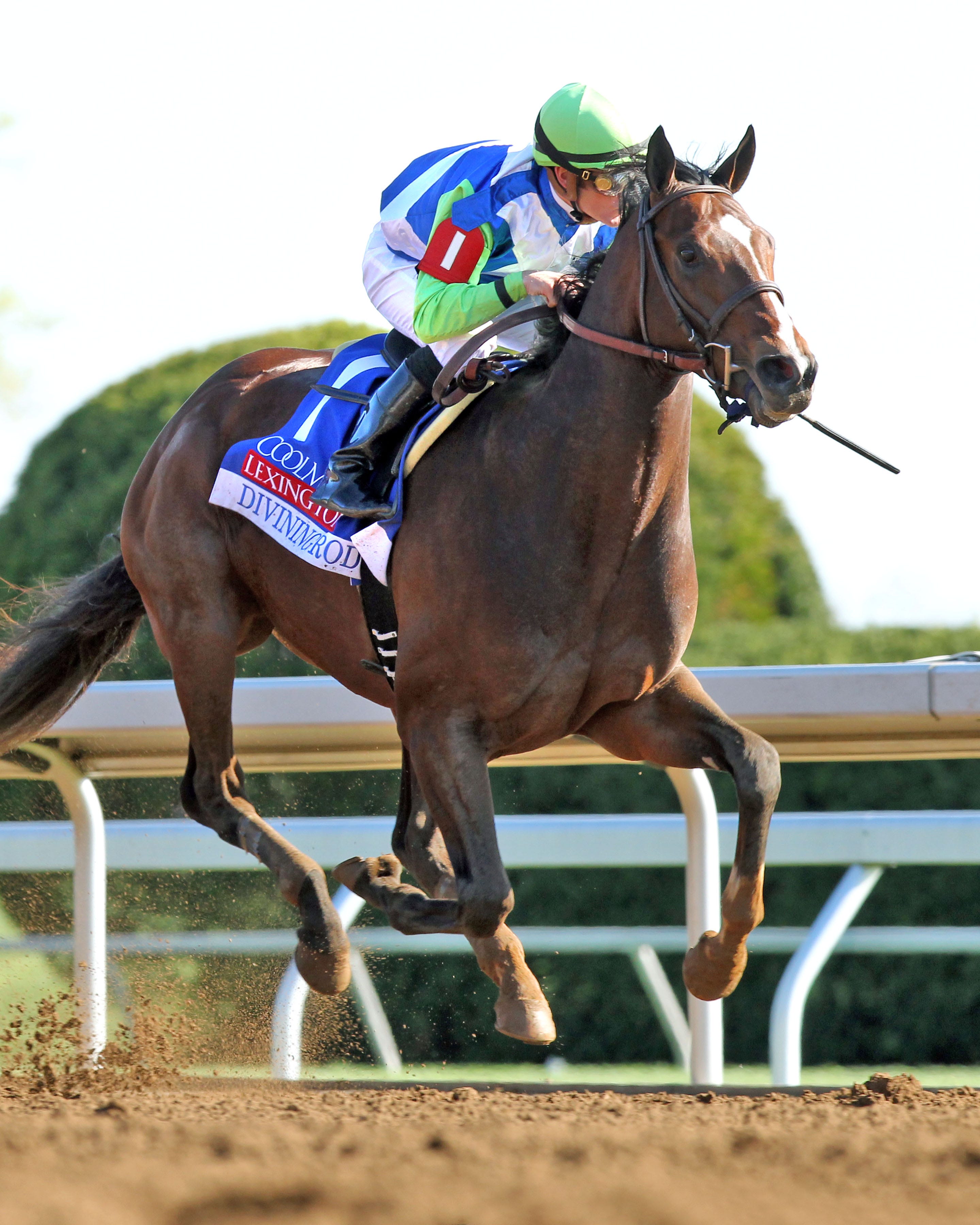 Divining Rod launches comeback on closing day