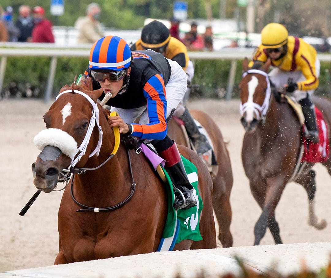 Drain the Clock returns to one turn for sevenfurlong Bay Shore