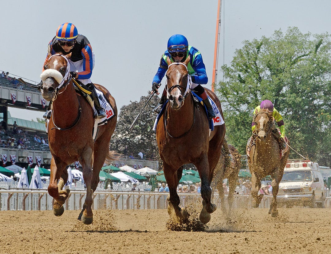 Jackie's Warrior takes another shot at Drain the Clock in Amsterdam Stakes