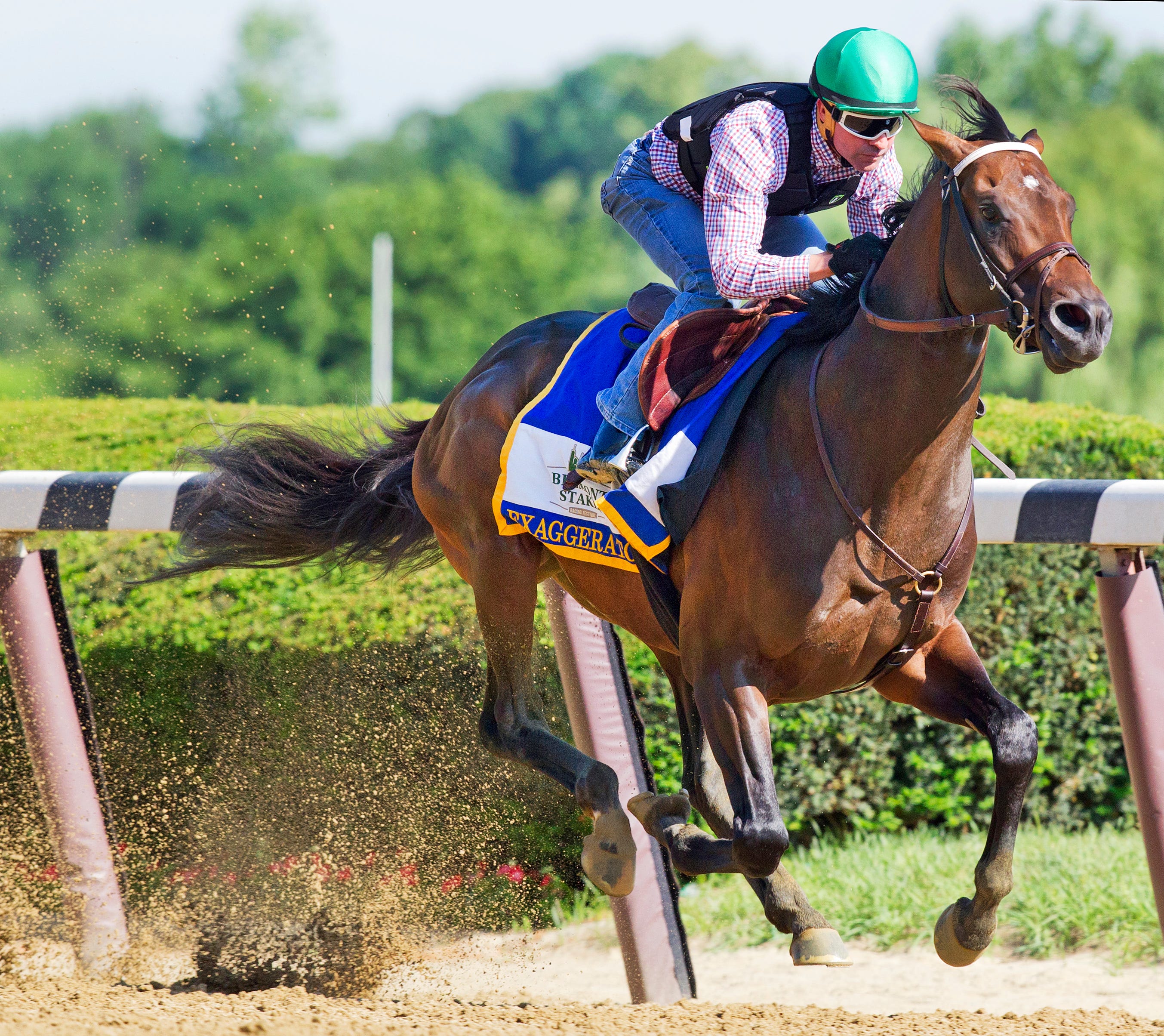 Exaggerator works well, gallops out 'wow'