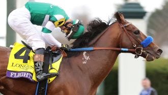 Breeders' Cup 2023 - News, Results And Entries | Daily Racing Form