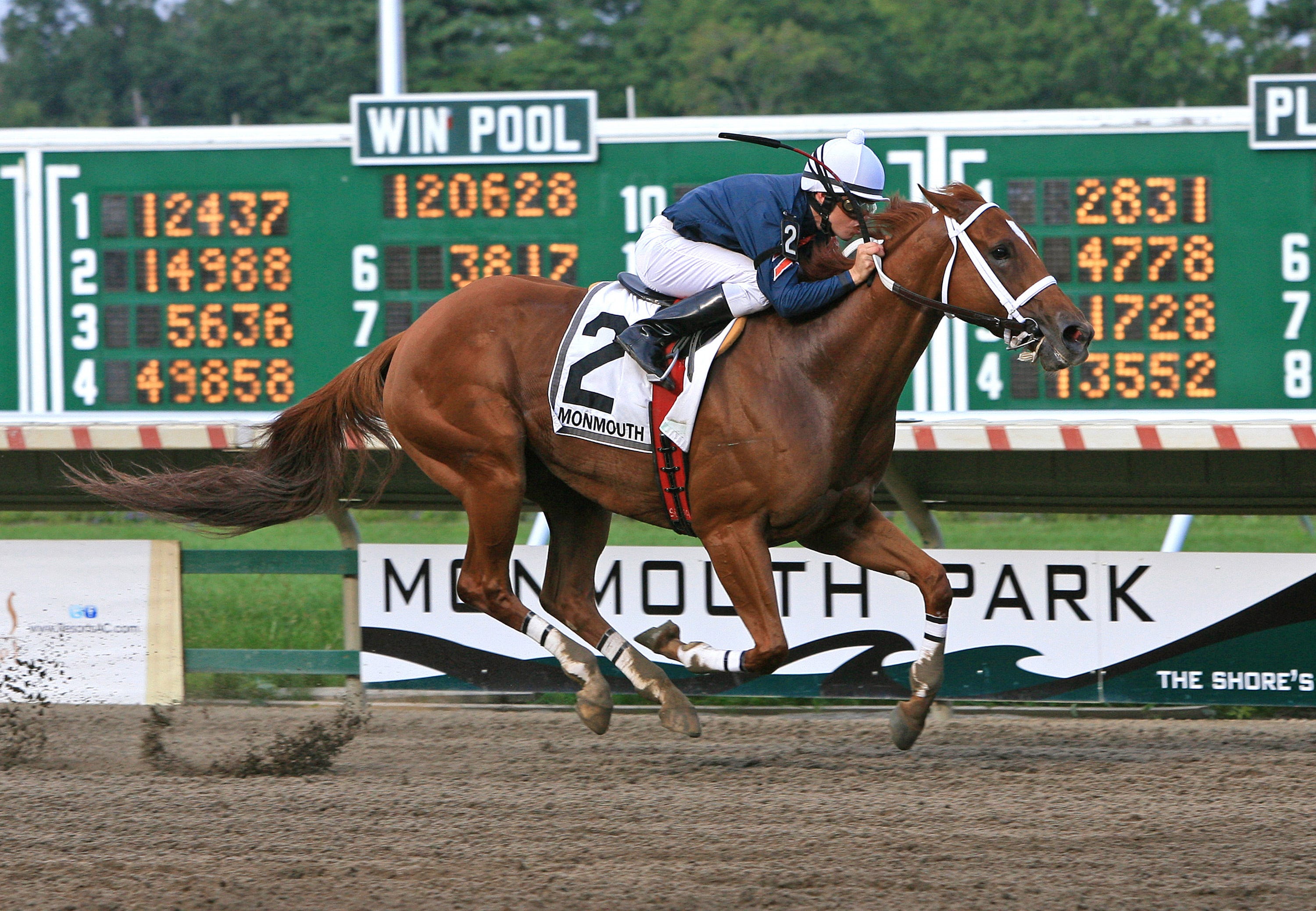 Monmouth Park Golden Mystery runs hard to win Mongo Queen Stakes
