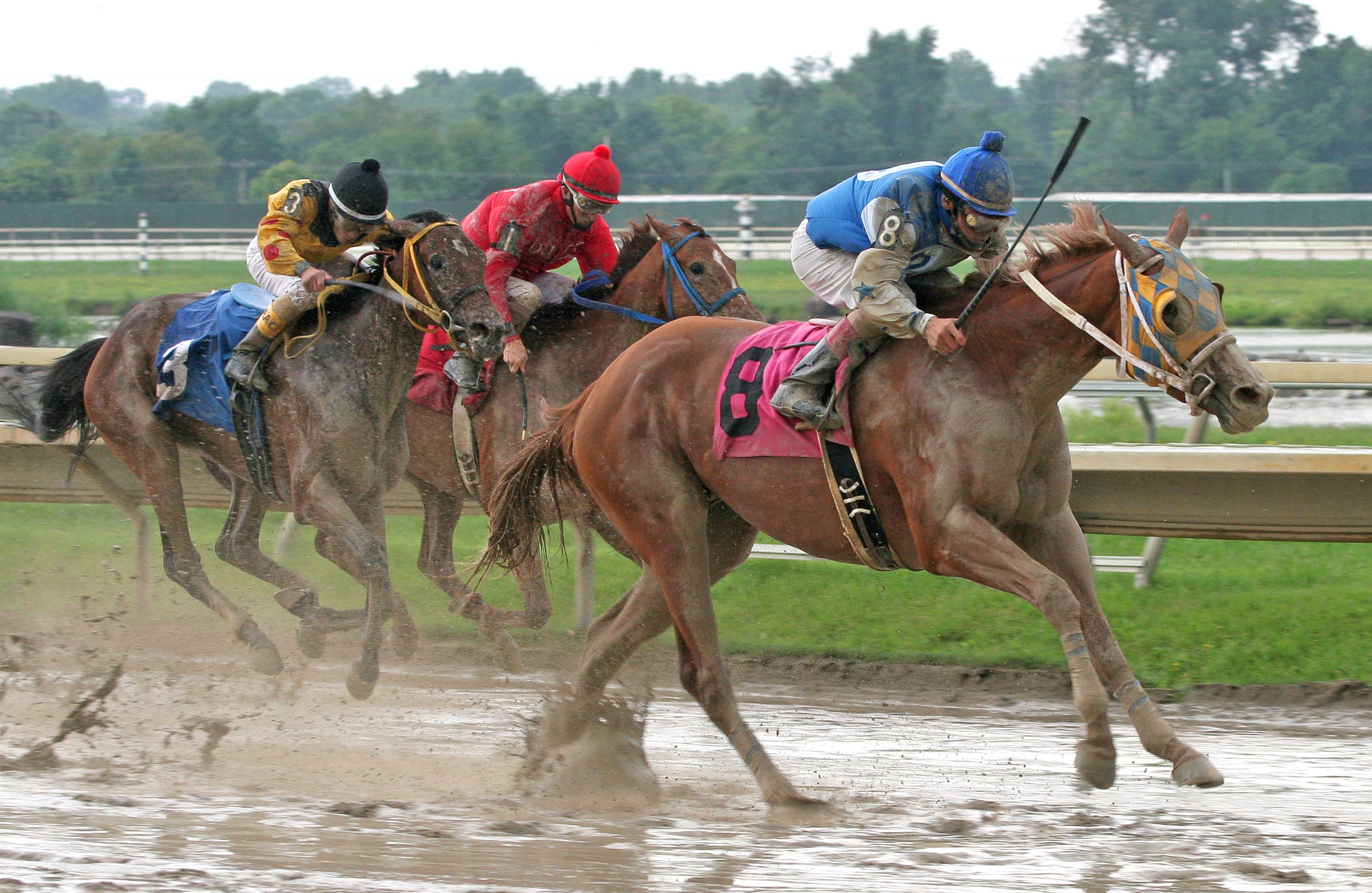 Parx Racing: Trainer Lehman has strong hand for Saturday's two stakes ...