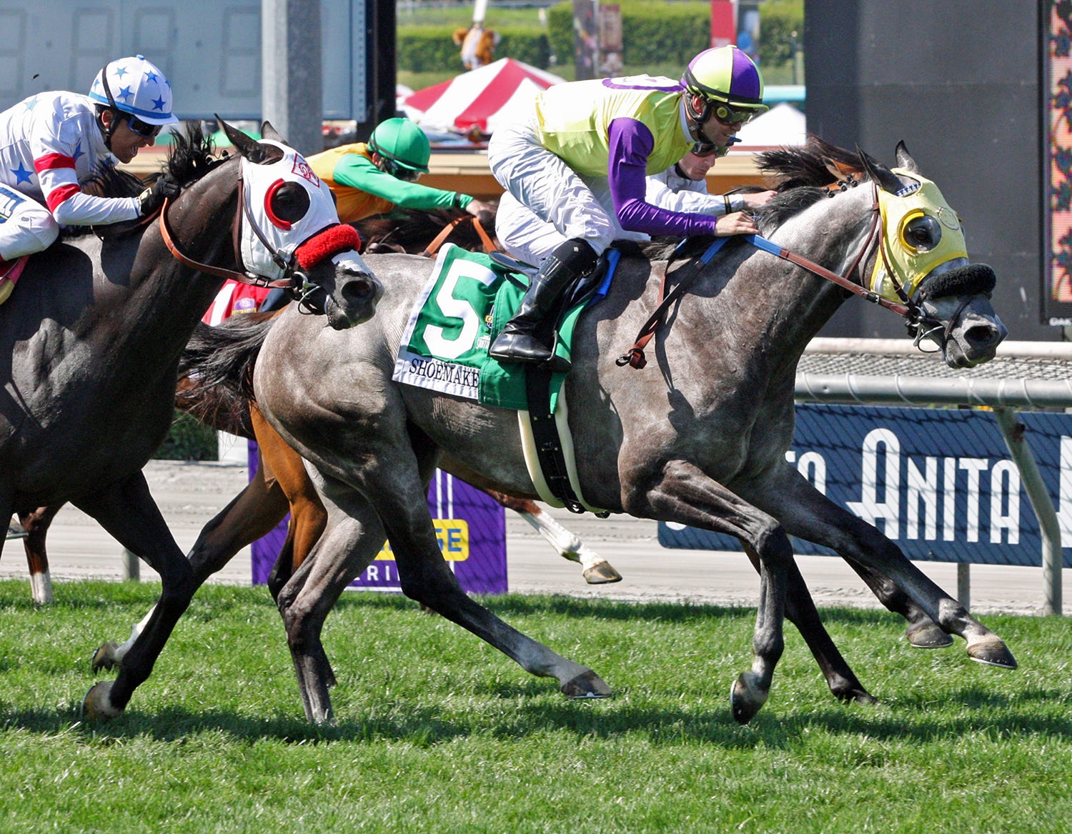 Hunt targets Seabiscuit Handicap; Isotherm points to Native Diver