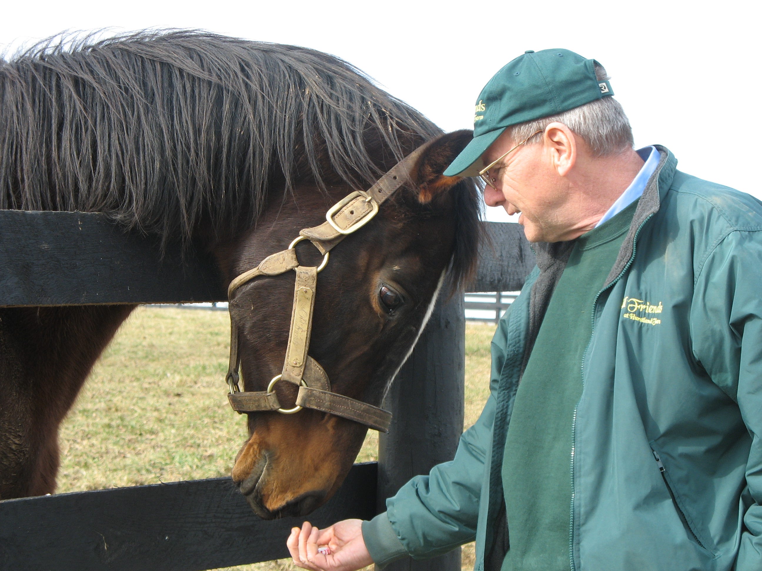 Sunshine Forever, champion turf horse, dies at Old Friends
