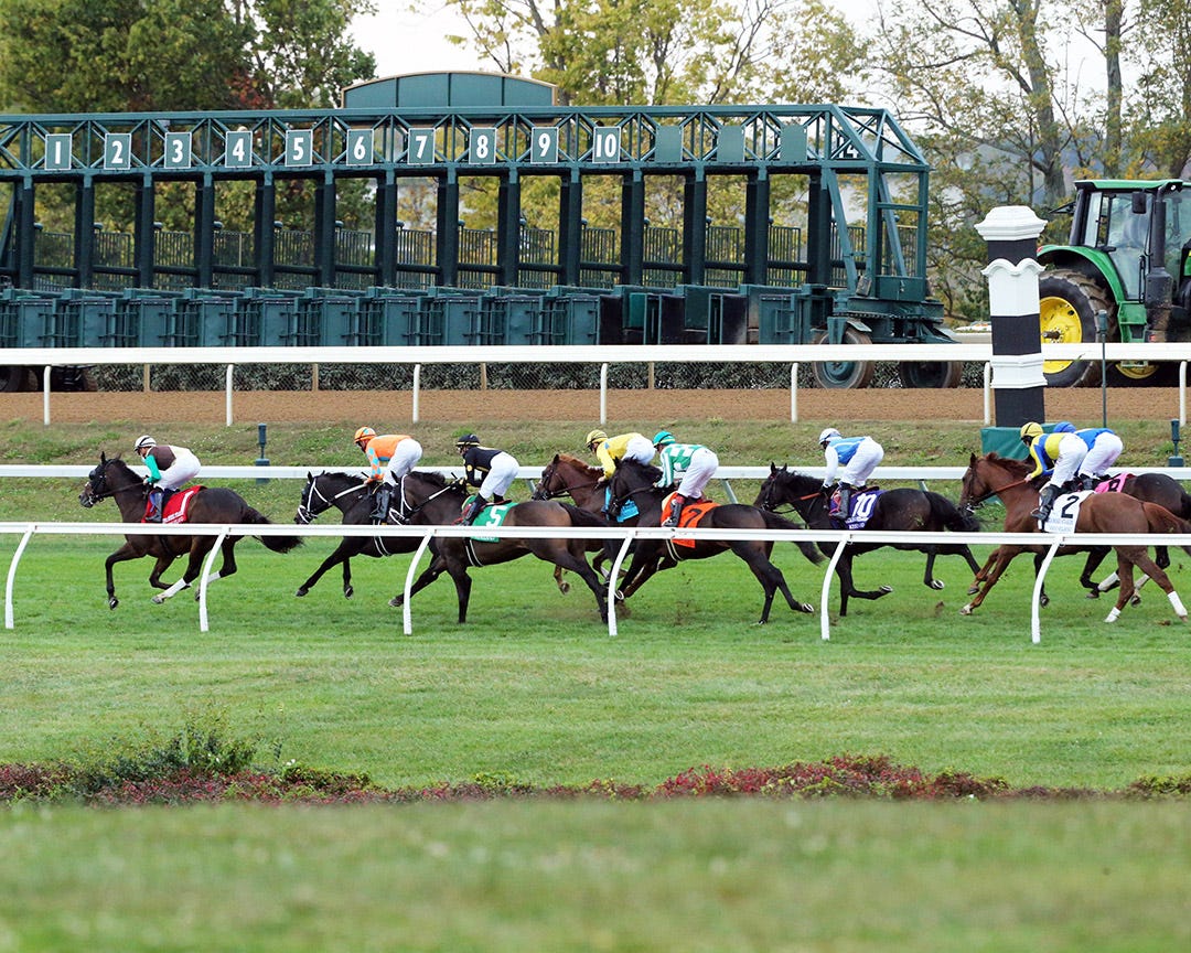 DRF's Horse Racing Playbook for Wednesday, April 20, 2022