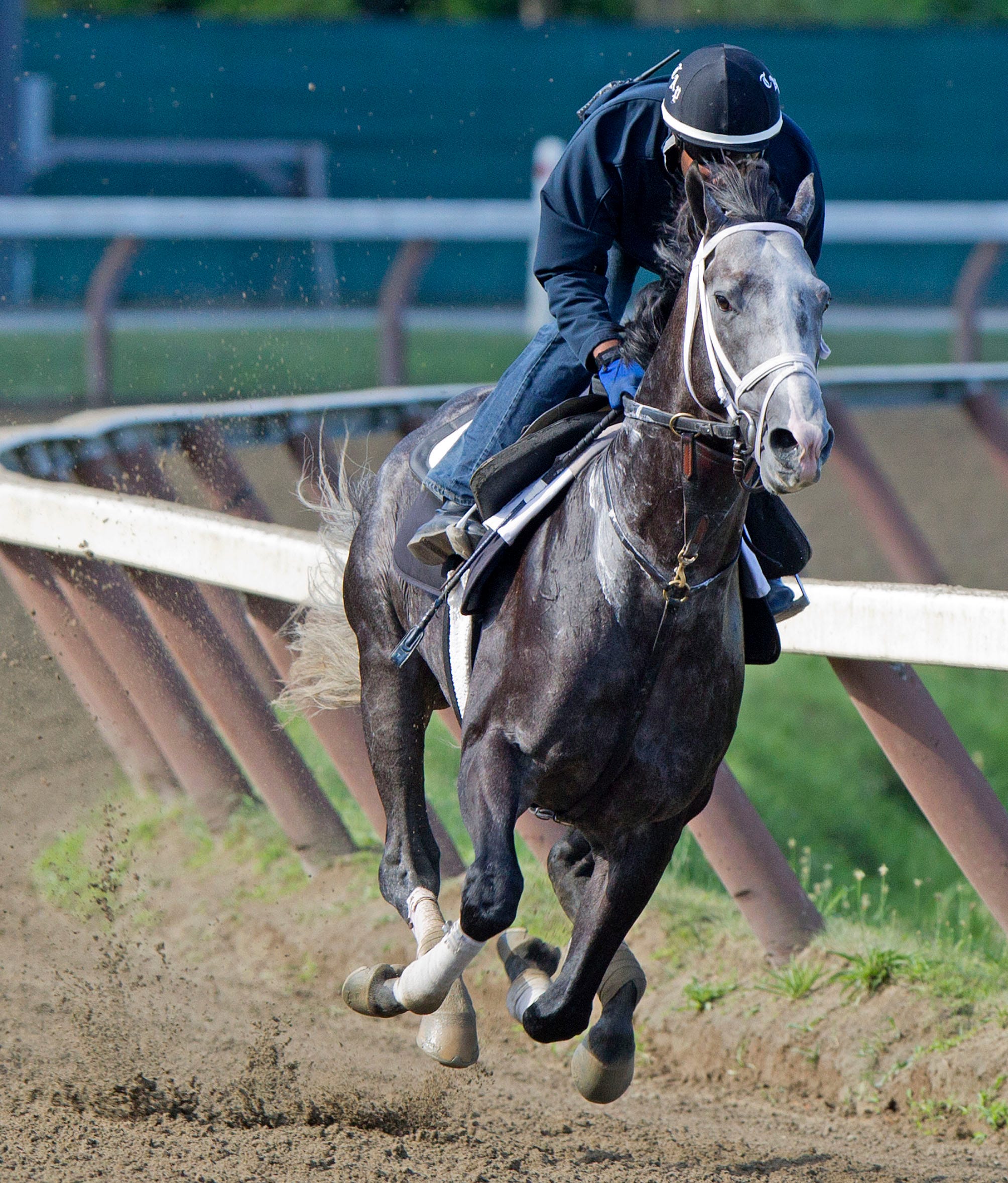 Liam's Map sizzles in five-furlong work