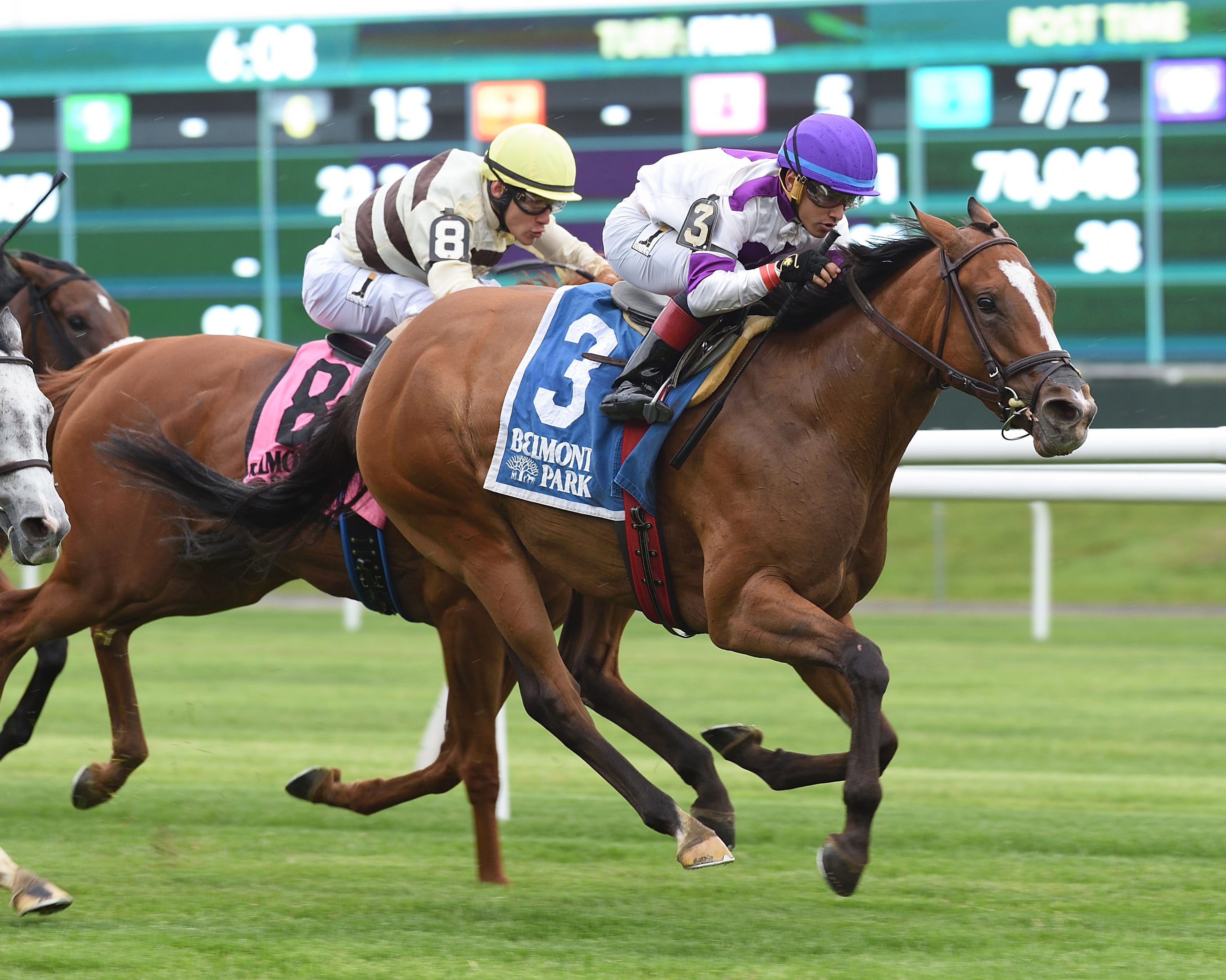 Lightstream looks to cap big season with victory in Raven Run Stakes