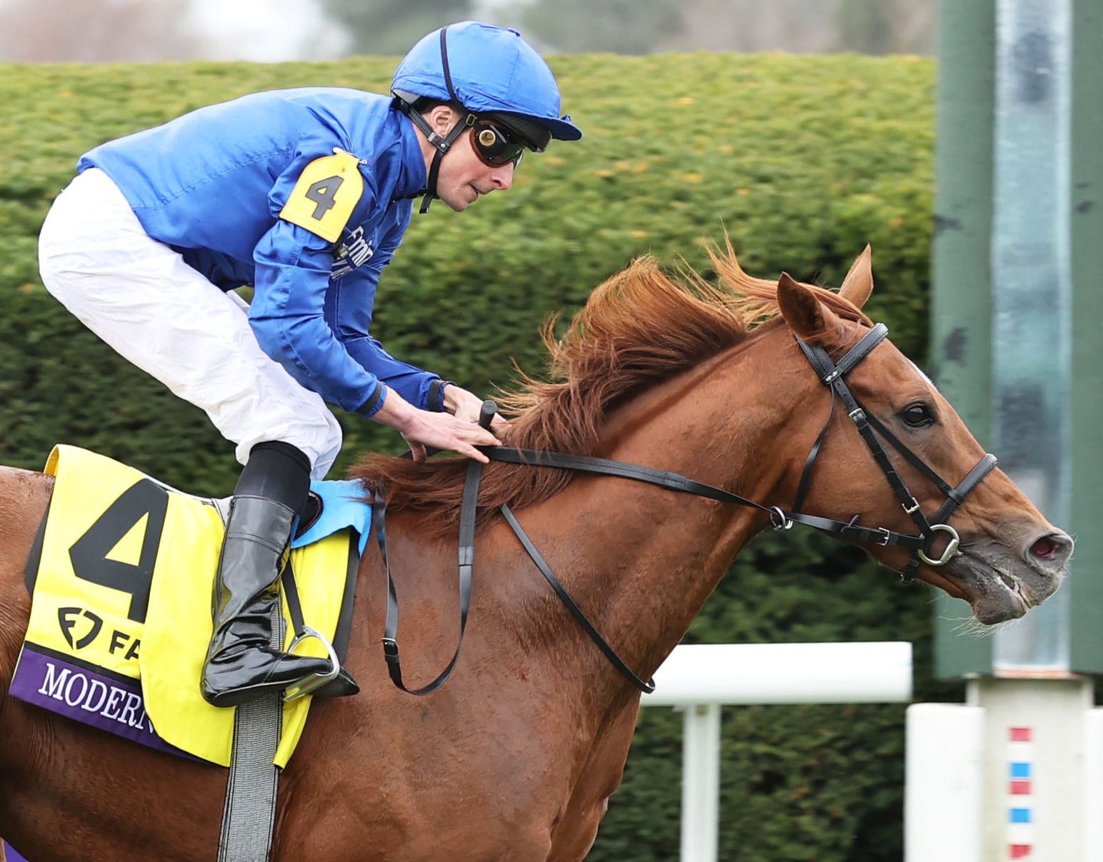 Breeders' Cup 2023 - News, Results And Entries | Daily Racing Form